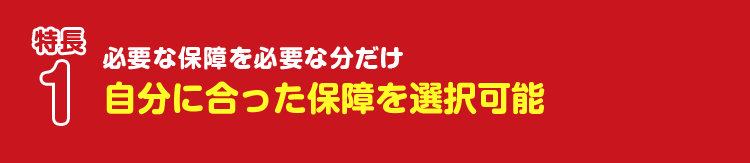 特徴1