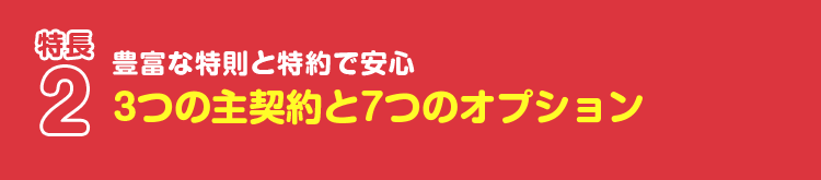 特徴2